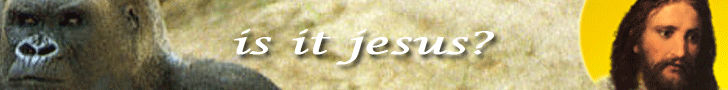 Is it Jesus, or is it a monkey?